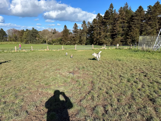 Fernhill Park Off Leash Area